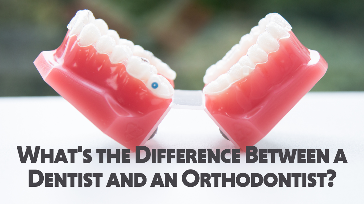 What's the Difference Between a Dentist & an Orthodontist?